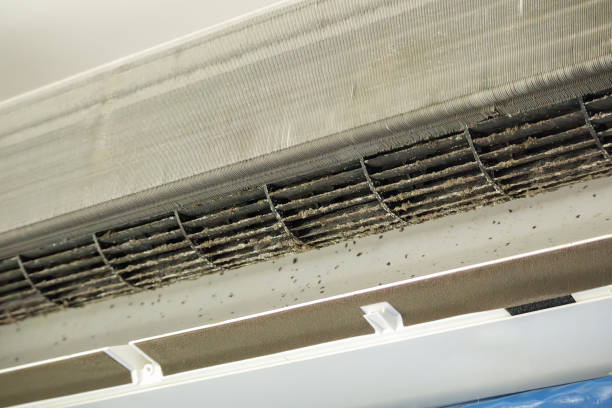 Best Duct Cleaning for Offices  in Clintonville, WI